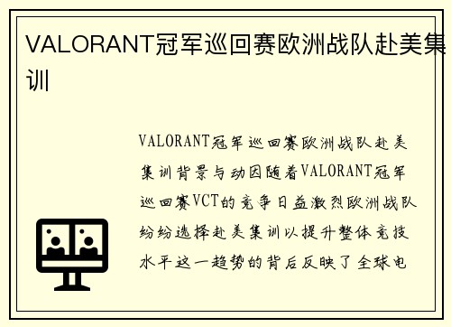 VALORANT冠军巡回赛欧洲战队赴美集训