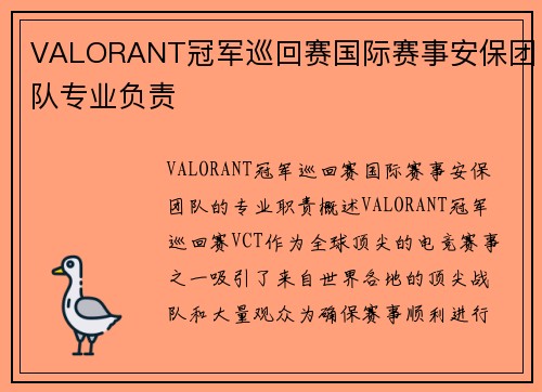 VALORANT冠军巡回赛国际赛事安保团队专业负责