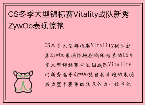 CS冬季大型锦标赛Vitality战队新秀ZywOo表现惊艳